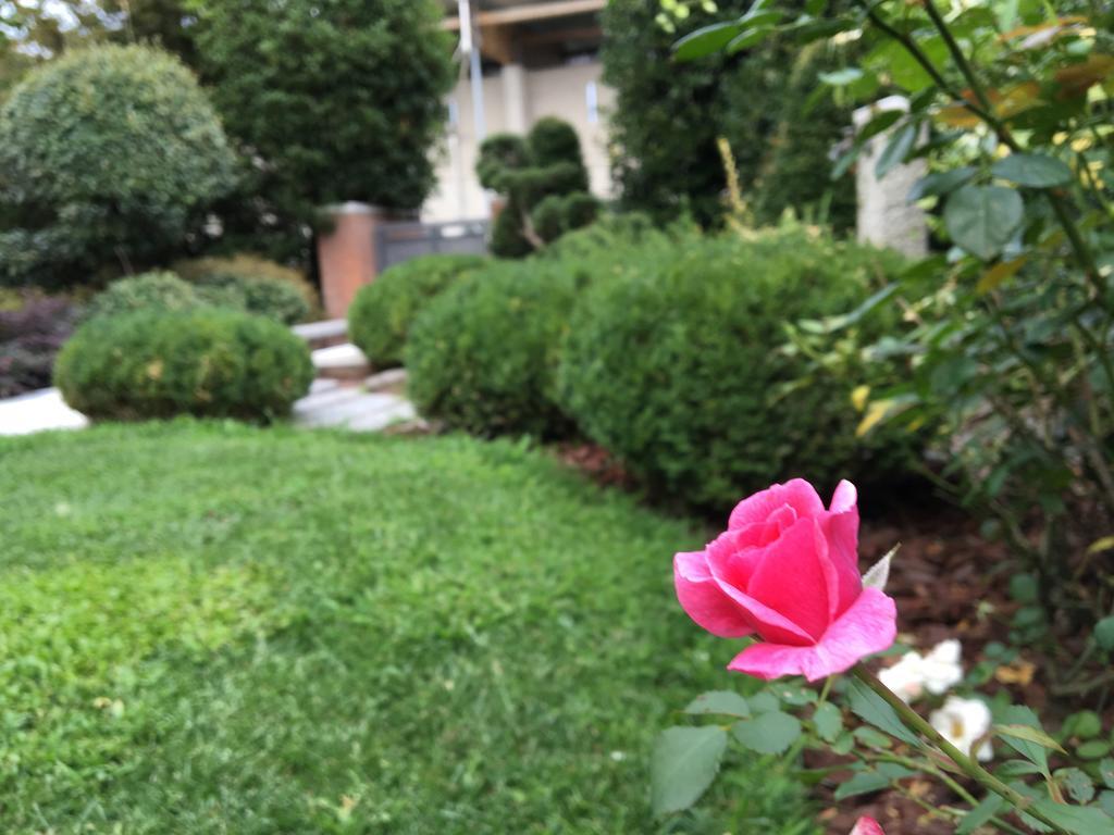 Rosa Del Grappa Bed & Breakfast Dış mekan fotoğraf